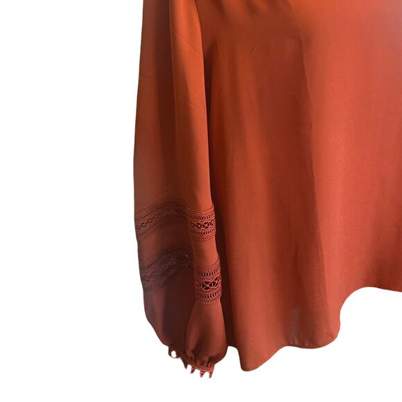 Ann Taylor Burnt Sienna Blouse - Picture 4 of 11